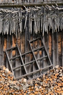 Shed wall with suspended hay riders,