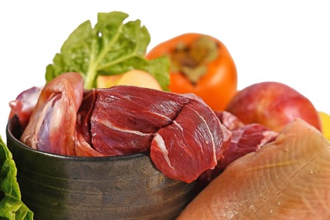 Close up of dog bowl with mixture of biologically appropriate raw food containing meat chunks, fish