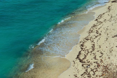White sand beach in turquoise waters, Fort Jefferson
