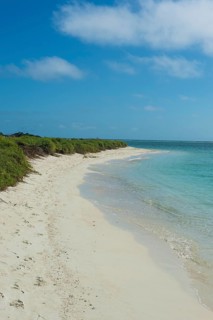 White sand beach in turquoise waters, Fort Jefferson