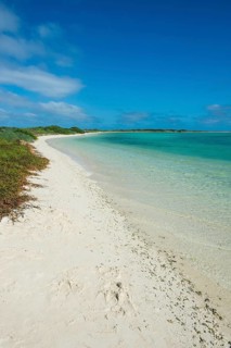 White sand beach in turquoise waters, Fort Jefferson