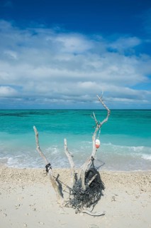Beach sculpture on a white sand beach in turquoise waters, Fort Jefferson