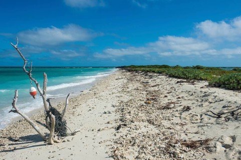 Beach sculpture on a white sand beach in turquoise waters, Fort Jefferson
