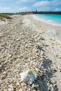 White sand beach with Fort Jefferson in the background, Dry Tortugas National Park