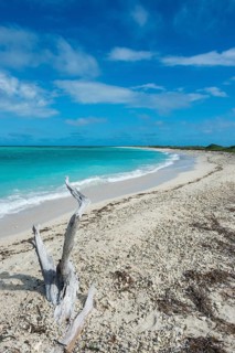 White sand beach in turquoise waters, Dry Tortugas National Park