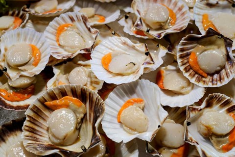 Scallops, Campo de la Pescaria fish hall