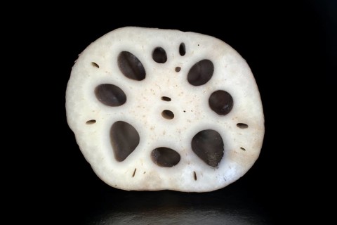 Sliced lotus root, food photography with black background