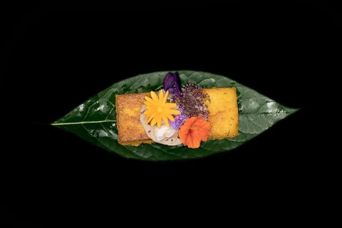 Fried polenta slice with a slice of lotus root and meadow flowers as decoration on an avocado leaf, foddfotography with black background