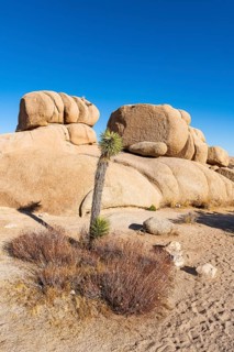 Beautiful rock formations, Joshua Tree National Park