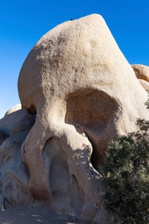Skull rock formation, Joshua Tree National Park