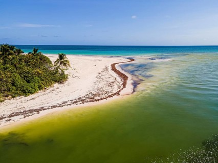Aerial of the Unesco world heritage site biosphere reserve Sian Ka'an Biosphere Reserve, Quintana Roo