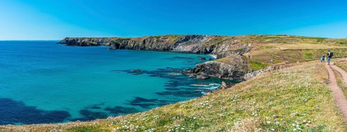 Kynance Cove and Asparagus Island, Cornwall