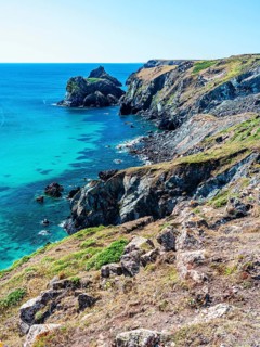 Kynance Cove and Asparagus Island, Cornwall
