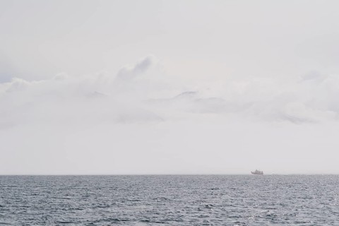 Whale watching boat, Fjord