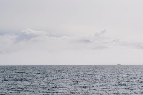 Whale watching boat, Fjord