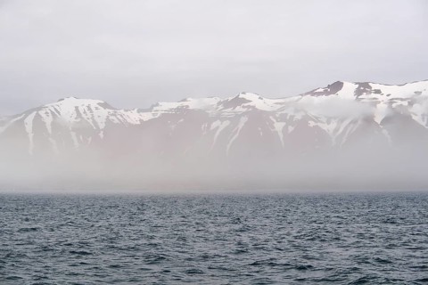 Fjord, Eyjafjoerour