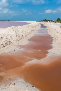 The colourful salinas of Las Coloradas, Yucatan