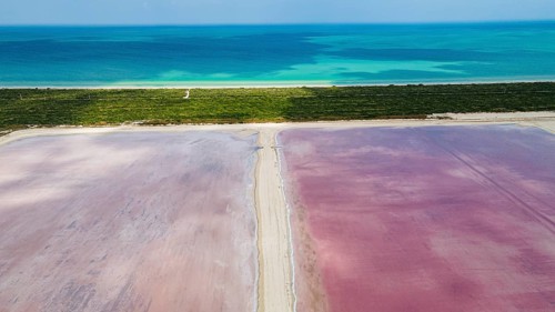 Aerial of the colourful salinas of Las Coloradas, Yucatan
