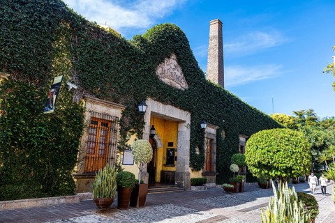 Tequila destillery, Unesco site Tequila