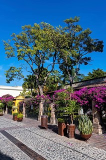 Tequila destillery, Unesco site Tequila
