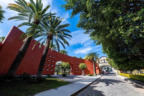 Plaza on January 24, Unesco site Tequila