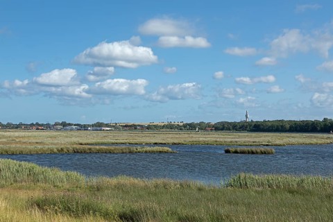 Biotope, Graswarder peninsula