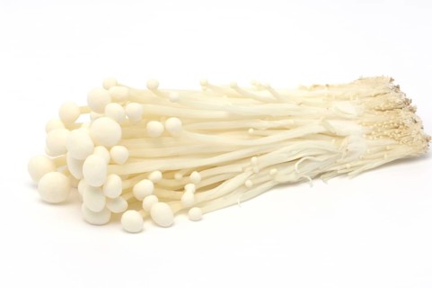 Flammulina, Syn Collybia velutipes
