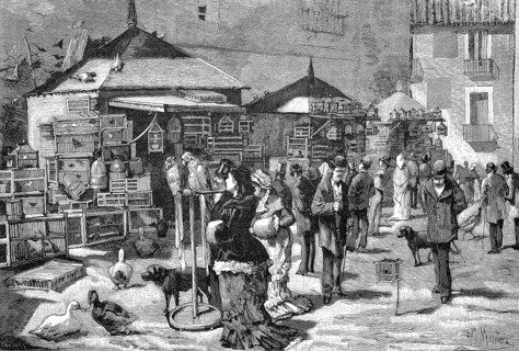 Bird Market in St. Andres Square in Madrid,1880