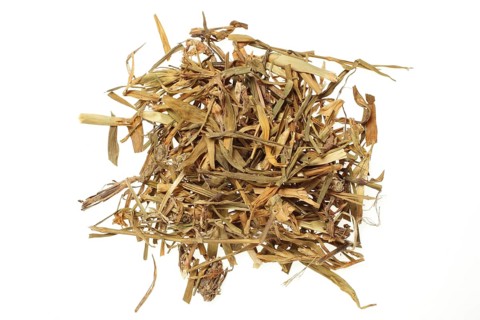 Medicinal plant carnation,
