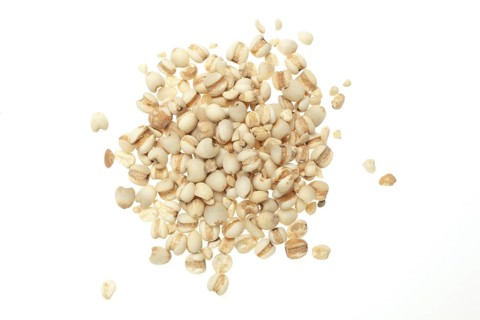 Seeds of the medicinal plant Job's tear-grass, Job's tear