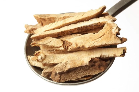 Medicinal plant yams,