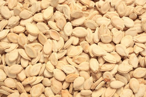 Medicinal plant, seeds of wax gourd