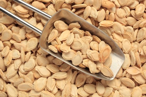 Medicinal plant, seeds of wax gourd