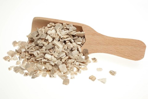 Naturopathy, Red-fleshed Ark Mussel Shells