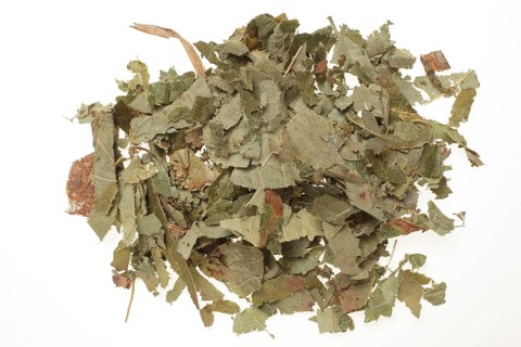 Dried leaves of the medicinal plant Elfenblume, large-flowered sock flower