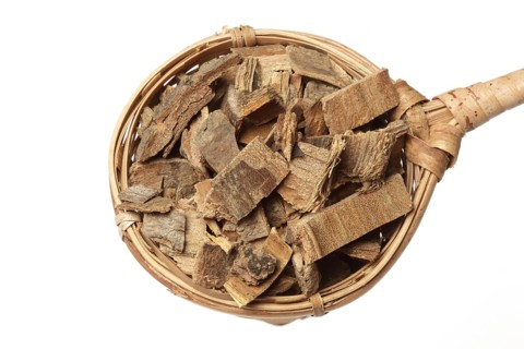 Bark of the medicinal plant coral tree, coral shrub