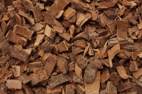 Bark of the medicinal plant coral tree, coral shrub