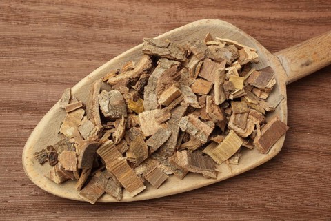 Bark of the medicinal plant coral tree, coral shrub