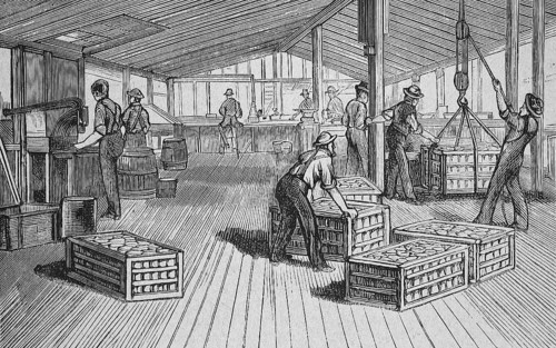 Thurber & Co canning factory in Moorestown, New Jersey