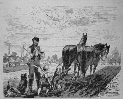 First attempt of the farmer's boy to plough the field with the horse and cart and the plough, Historical
