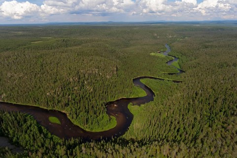 Kitka-Joki, Oulanka National Park