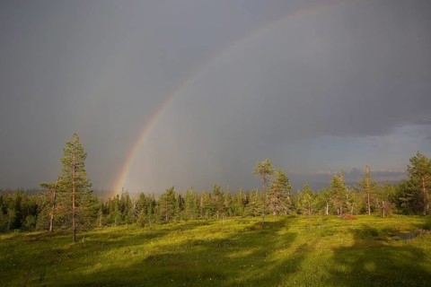 Riisitunturi with thunderstorm atmosphere and rainbow, Riisitunturi National Park