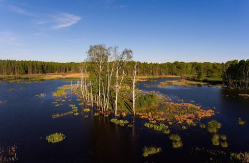 Schlichter Moor, landscape shaped by the Weichsee Ice Age