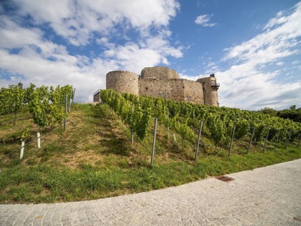 Taggenbrunn Castle, near St. Veit