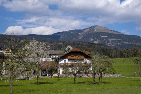 Farms, behind the Schlenken