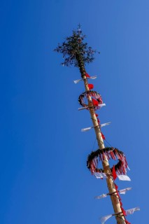 Maypole, Obernberg am Inn
