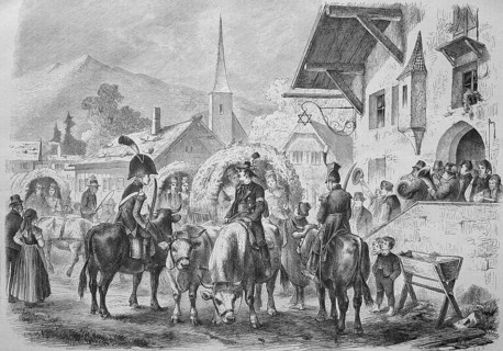 Wedding in a village in Salzburg area, bride and groom with ox team
