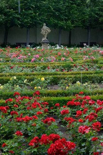 Rose Garden of the New Residence, Bamberg
