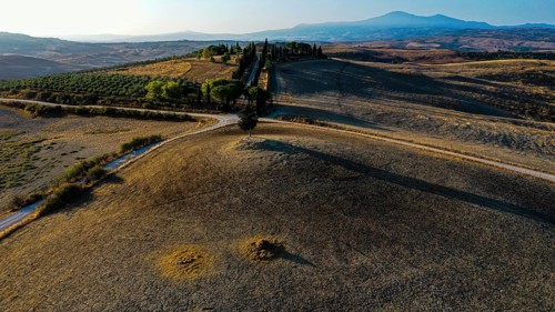 Country house with cypress avenue in morning light, drone shot