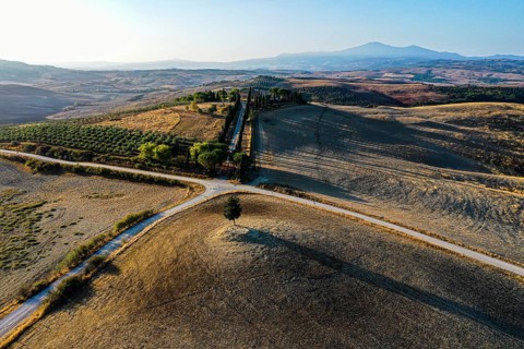 Country house with cypress avenue in morning light, drone shot